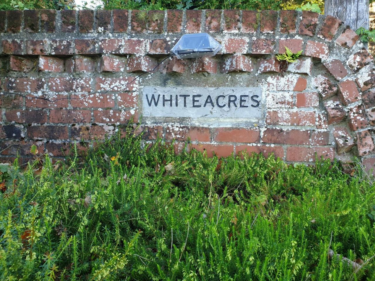 Whiteacres Bed & Breakfast Инверкаргил Екстериор снимка